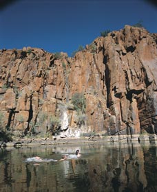 Python Pool - Accommodation Adelaide 3