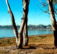 Lake Broadwater Conservation Park - Accommodation Adelaide