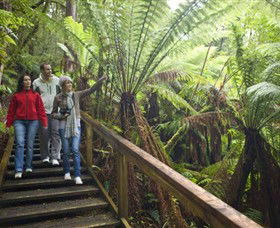 Beech Forest ACT Accommodation Adelaide