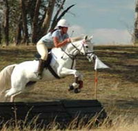 National Equestrian Centre - Kerrabee - Accommodation Adelaide