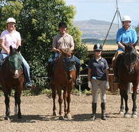 Forest Park Riding and Equitation School - Accommodation Adelaide