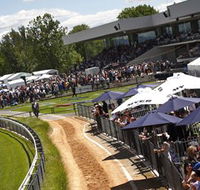 Thoroughbred Park Canberra Racing Club - Horse Racing in the Nations Capital - Accommodation Adelaide