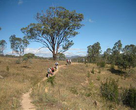 Kambah Pool To Pine Island - Accommodation Adelaide 1