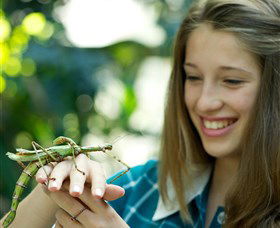 CSIRO Discovery Centre - Accommodation Adelaide 0