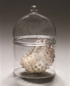 ANU School Of Art Gallery - Accommodation Adelaide 2