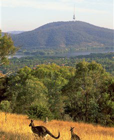 Canberra Centenary Trail - Accommodation Adelaide 0