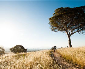 Canberra Centenary Trail - Accommodation Adelaide 1