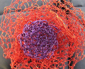 Chisholm Street Gallery - Accommodation Adelaide 1