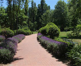 Glebe Park - Accommodation Adelaide 1