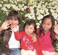 Commonwealth Park - Accommodation Adelaide