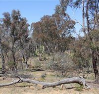 Remembrance Nature Park - Accommodation Adelaide