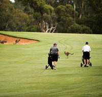 Federal Golf Club - Accommodation Adelaide
