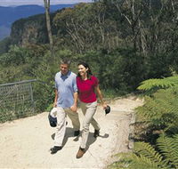 Blue Mountains Walking Tracks - Accommodation Adelaide