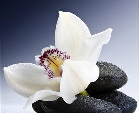 H2O Spa - Accommodation Adelaide 1