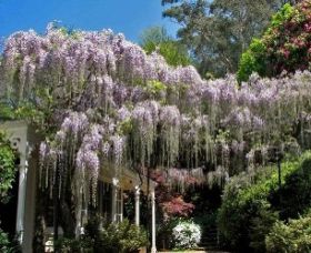 Mount Wilson NSW Accommodation Adelaide