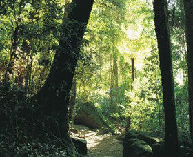 Blue Mountains National Park - Accommodation Adelaide 5