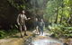 Blue Mountains National Park - thumb 3