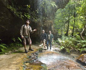 Blue Mountains National Park - Accommodation Adelaide 3
