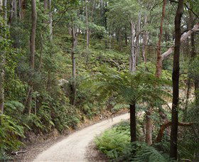 Blue Mountains National Park - Accommodation Adelaide 8