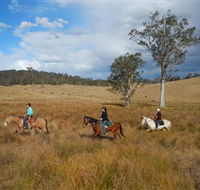 Chapman Valley Horse Riding - Accommodation Adelaide