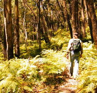 Federal Pass - Accommodation Adelaide