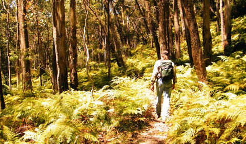 Federal Pass - Accommodation Adelaide 0