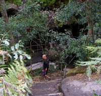 Leura Cascades Fern Bower - Accommodation Adelaide
