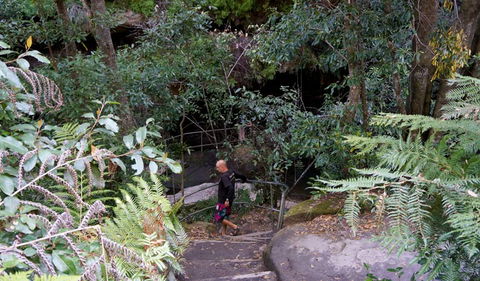 Leura Cascades Fern Bower - Accommodation Adelaide 0