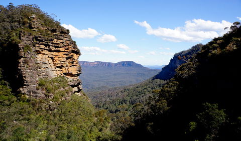 Leura Cascades Fern Bower - Accommodation Adelaide 1