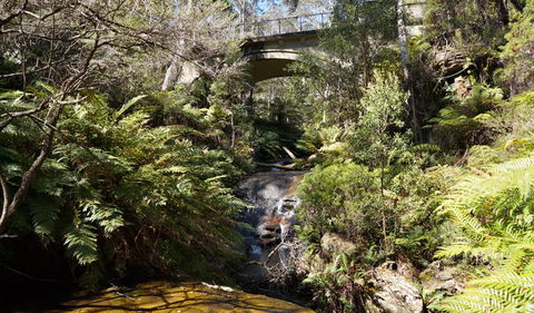 Leura Cascades Fern Bower - Accommodation Adelaide 3