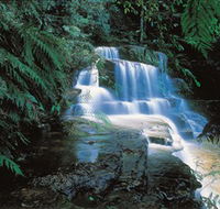 Leura Cascades - Accommodation Adelaide