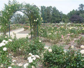 Victoria Park Rose Garden - Accommodation Adelaide 0