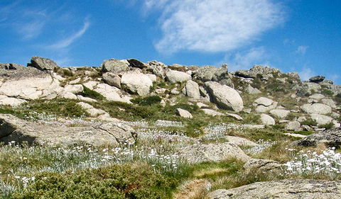 Mount Stillwell Walk - Accommodation Adelaide 1