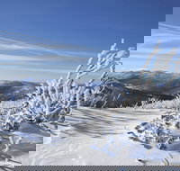 Rock Creek snowshoe track - Accommodation Adelaide