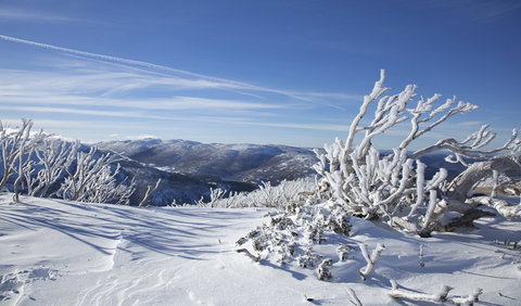 Rock Creek Snowshoe Track - Accommodation Adelaide 0