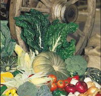 Mulgowie Real Farmers Markets - Accommodation Adelaide