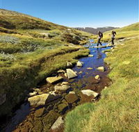 Australian Alps Walking Track - Accommodation Adelaide