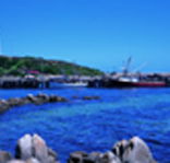 King Island Dairies - Accommodation Adelaide