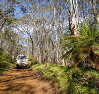 Barrington trail - Accommodation Adelaide
