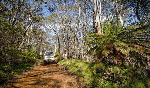 Barrington Trail - Accommodation Adelaide 0
