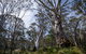 Barrington Trail - thumb 3
