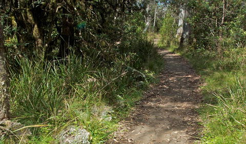 Devils Hole Lookout Walk And Picnic Area - Accommodation Adelaide 2