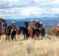 Snowy Wilderness - Accommodation Adelaide