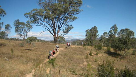 Kambah Pool To Pine Island - Accommodation Adelaide 3