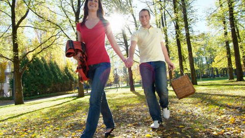 Glebe Park - Accommodation Adelaide 2