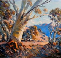 Kunama Snowy Mountains Centre for the Arts - Accommodation Adelaide