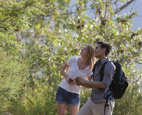 The Rock Lookout - Accommodation Adelaide 6