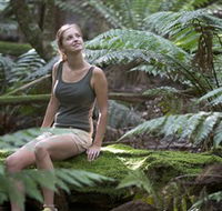 Barrington Tops National Park - Honeysuckle Forest Track - Accommodation Adelaide