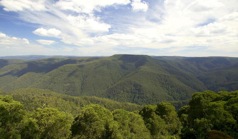 Barrington Tops National Park - Accommodation Adelaide 0
