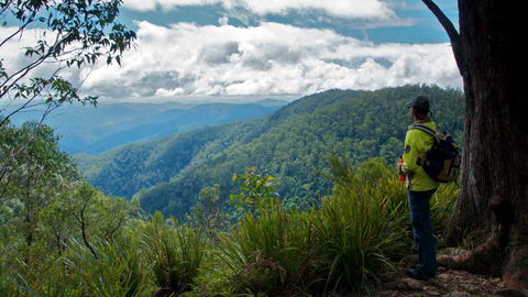 Barrington Tops National Park - Accommodation Adelaide 3
